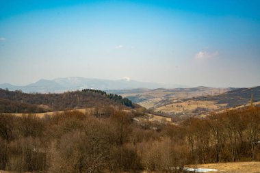Baharda güzel dağ manzarası. Karpatlar. Ukrayna
