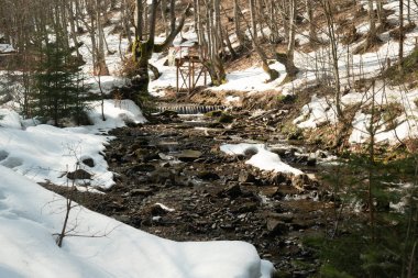 Kışın, güneşli bir günde, kozalaklı kış ormanı. Dağ dereleri, şelale ve çevresi. Karpatlar. Ukrayna