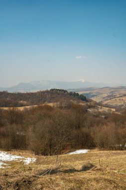 Baharda güzel dağ manzarası. Karpatlar. Ukrayna