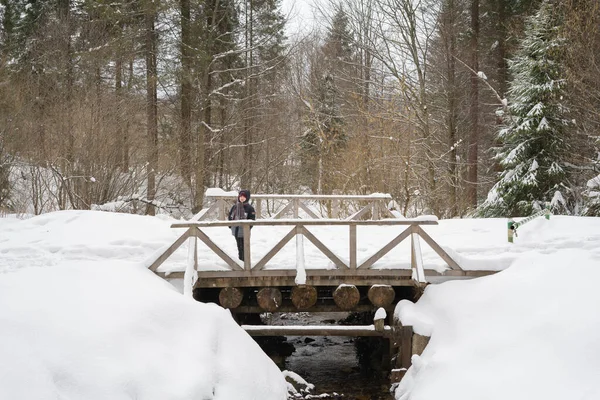 Garçon Ans Posant Sur Pont Bois Dans Neige Sur Pente — Photo