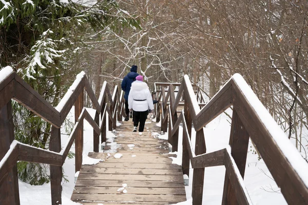 Une Famille Touristes Sur Sentier Randonnée Dans Les Montagnes Couvertes Image En Vente