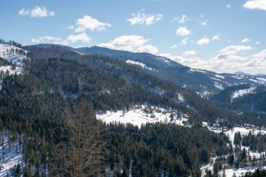 Kışın dağların ve ormanın güzel manzarası. Pogar Dağı 'nın manzarası. Slavsko. Karpatlar. Ukrayna