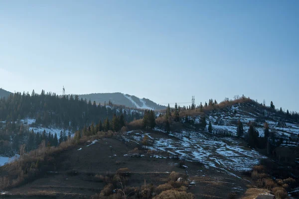 Gün doğumunda bahar dağları. Orman dağları. Karpatlar. Ukrayna