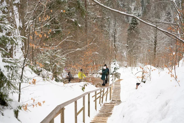 Une Famille Touristes Sur Sentier Randonnée Dans Les Montagnes Couvertes Photo De Stock