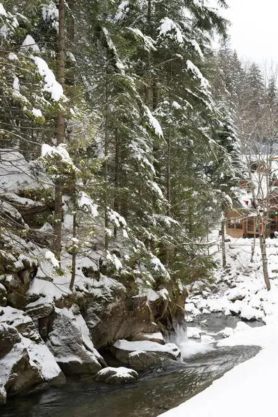 Forêt Conifères Sapins Ruisseau Montagne Hiver Dans Neige — Photo