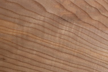 Doğal kül dokusu. Yaratıcı klasik arka plan. Yüzeysel kesik