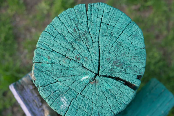 Doorsnede Van Een Boom Het Uiteinde Van Houten Hekpaal Groen — Stockfoto