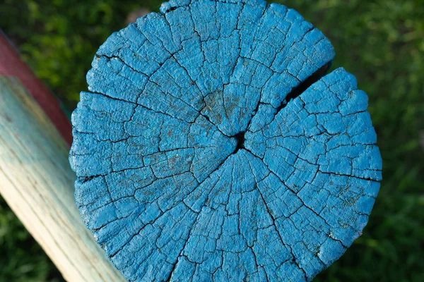 Keresztmetszet Egy Fán Kerítésoszlop Vége Kék — Stock Fotó