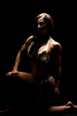 Bikinili güzel kadın.