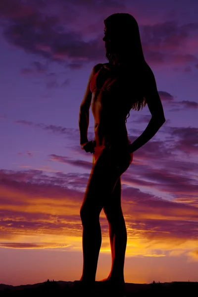 Silhouet van de vrouw in bikini kant op zoek naar kant — Stockfoto