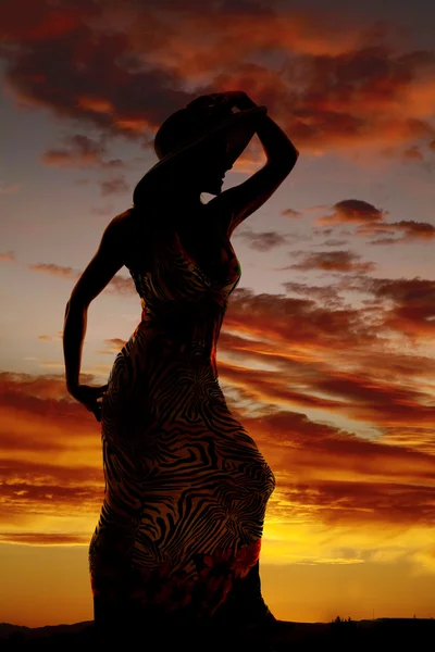 Silhouette einer Frau im Kleid — Stockfoto
