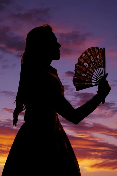 Silhouet van een vrouw die poseert — Stockfoto