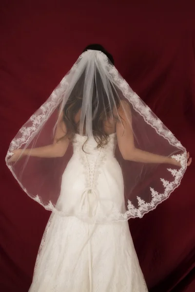 穿着婚纱的女人 — 图库照片