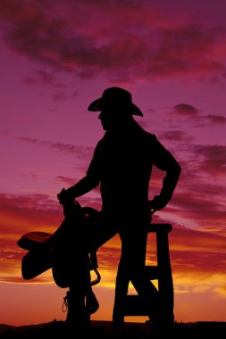 Güzel cowgirl portre