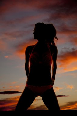 Bikinili kadın silüeti