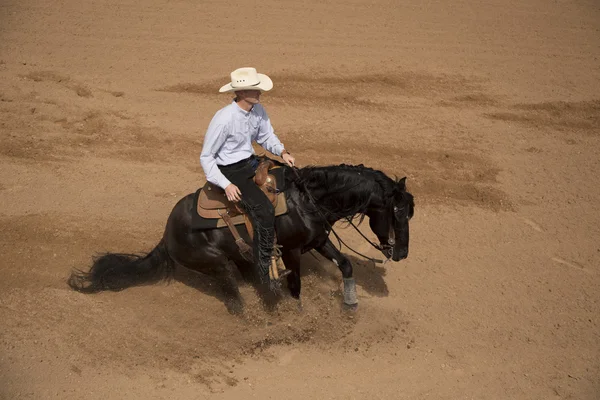 Cowboy man on horse — Stock Photo, Image