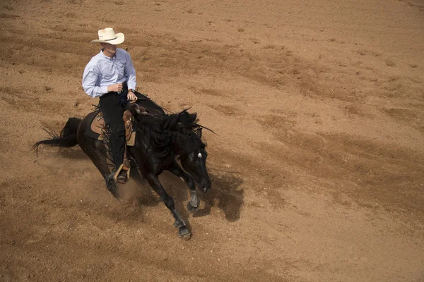 Cowboy Ridning en svart häst — Stockfoto