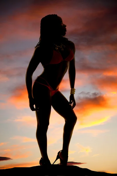 Mujer sensual en bikini —  Fotos de Stock