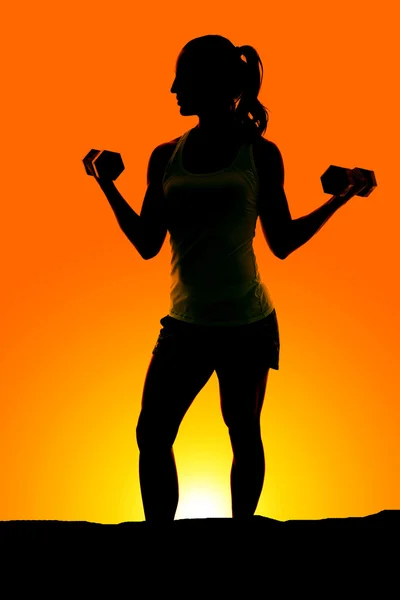 Woman exercising with dumbbells — Stock Photo, Image