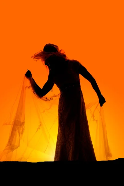 Silhouette of cowboy bride — Stock Photo, Image