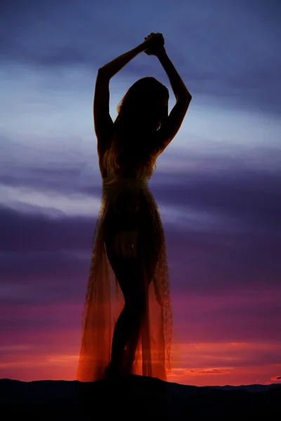 Silhouette of sexy beautiful woman — Stock Photo, Image