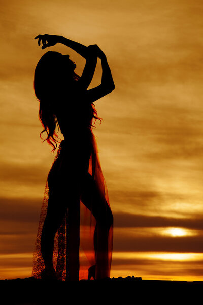 A silhouette of a woman in her sheer dress outdoors.