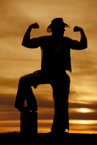 Silhouette of cowboy man — Stock Photo, Image