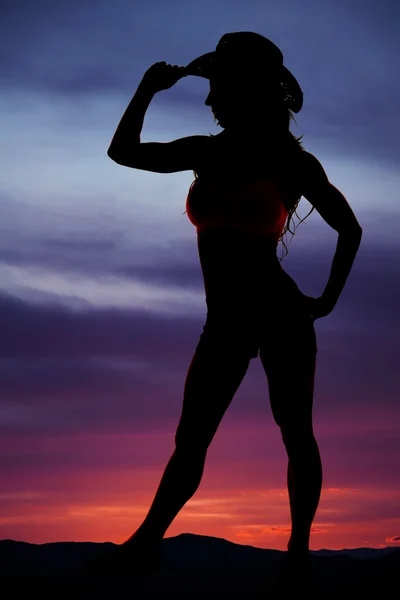 Silhouette des Cowgirls stehen Seite an Seite mit Hutkrempe — Stockfoto