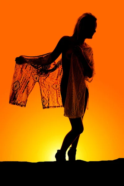 Silhouette of beautiful woman — Stock Photo, Image