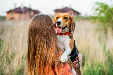 Mutlu bir kızın komik bir av köpeğiyle yakın plan portresi. Gülümseyen genç kadın iyi günlerin tadını çıkarıyor ve evcil hayvanlarla poz veriyor..