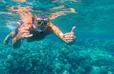 Sualtı çekimi. Tropikal bir denizde dalış yapan bir adam. Seyahat yaşam tarzı, açık deniz sporları macerası, yaz tatilinde yüzme dersleri.