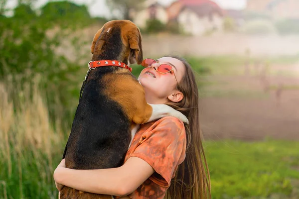 Retrato Cerca Niña Complacida Sosteniendo Abrazando Perro Beagle Sonriente Joven —  Fotos de Stock