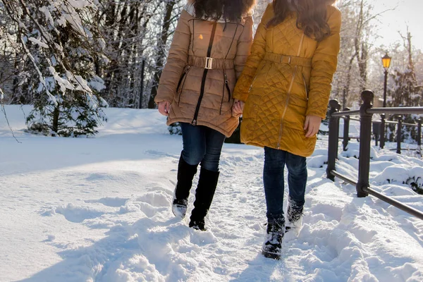 女同性恋 男同性恋 双性恋和变性者情侣喜欢快乐时光的概念 年轻快乐的白人妇女在冬季公园散步时牵着手 — 图库照片