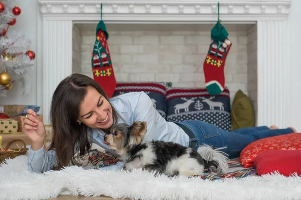 Merry Christmas and Happy New Year! Dog beaver breed York having fun happy on the pillow with his owner.
