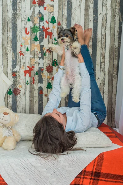 Buon Natale Felice Anno Nuovo Cane Castoro Razza York Divertirsi — Foto Stock