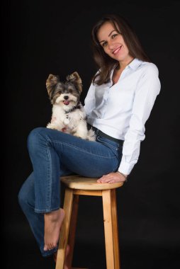 Kunduz York köpeği. Kunduz Yorkshire Teriyeri. Yavru köpek, arkadaş, bebek, tımar. Köpek sahibi ile siyah stüdyo geçmişinde eğleniyor.