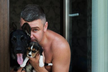Pencerenin arka planında kameraya bakan mutlu yaşlı adamın yakın plan portresi. Avcı köpeği ve Doğu Avrupa Çoban Köpeğini tutan ve kucaklayan adam. Gülümsüyor, evcil hayvanla güzel bir gün geçiriyor..
