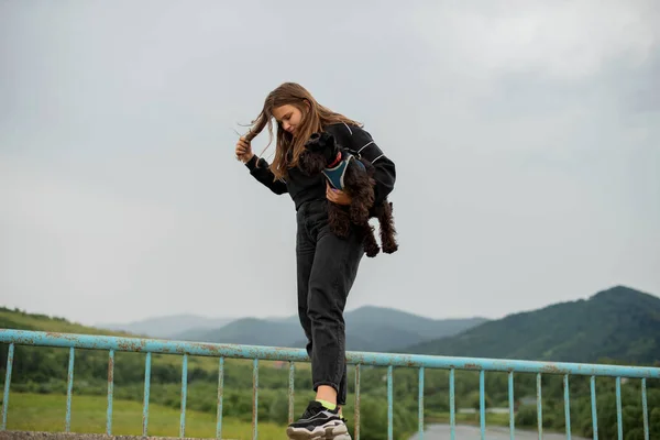 Neşeli Cüsseli Bir Kız Minyatür Schnauzer Köpeğine Sarılıyor Dağların Yakınında — Stok fotoğraf