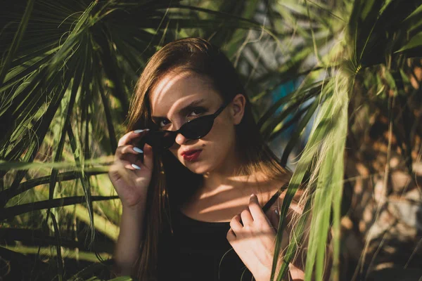 Mulher Usando Óculos Sol Posando Com Palmeira Retrato Bela Menina — Fotografia de Stock
