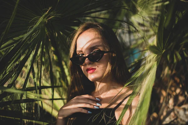 Mulher Usando Óculos Sol Posando Com Palmeira Retrato Bela Menina — Fotografia de Stock