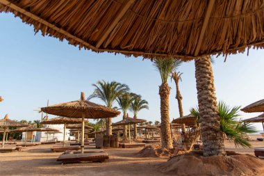 Güzel sahil. Etrafta palmiyeler olan güzel tropikal plaj manzarası. Tatil ve tatil konsepti. Tropik plaj.