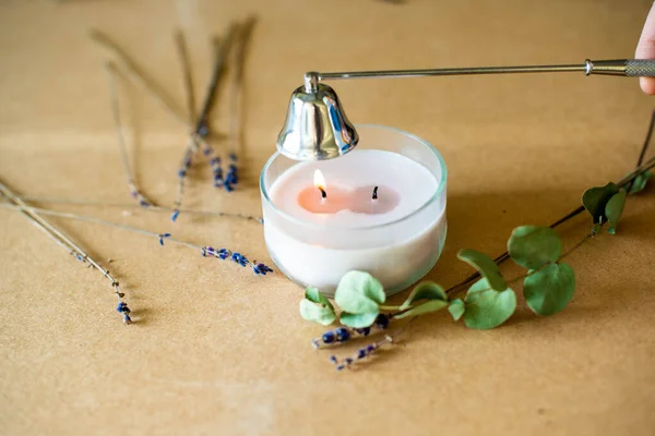 Tools for making candles of white soy wax flakes, essential oil, wicks on pergament background. Flat lay, overhead shot. Ecological lifestyle Soy wax, wick, cap, lavender - ingredient for handmade