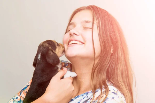 귀여운 소녀가 강아지를 껴안고 강아지 데리고 여자를 귀여워 — 스톡 사진