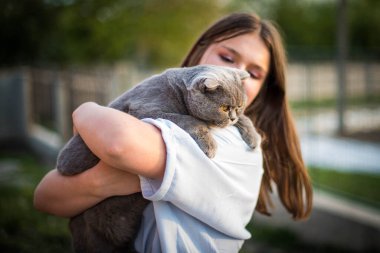 Tarlada İskoç şişko gri kediyi kucağına alıp kucaklayan sevimli genç kız. Gülümseyen genç kadın iyi günlerin tadını çıkarıyor ve evcil hayvanlarla poz veriyor..