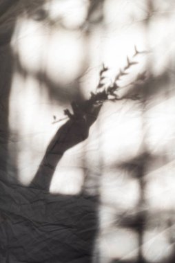 Duvarında çiçekler olan gri eller. Bulanık efekt. Gölgelere odaklan.