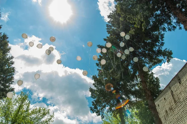 Many White Balloons Flying Blue Sky — Stock Photo, Image