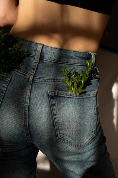 Plantas Verdes Bolsillo Jean —  Fotos de Stock