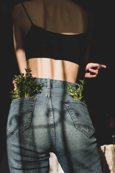 Green plants in jean pocket
