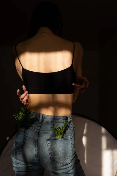 Kot Pantolonun Cebinde Yeşil Bitkiler Sırtında Çizgili Gölge Desenli Güzel — Stok fotoğraf