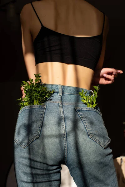 Green plants in jean pocket. Beauty portrait of a back beautiful young girl with a shadow pattern on body in the form of stripes. fashion, beauty. A girl with anorexia turned back.